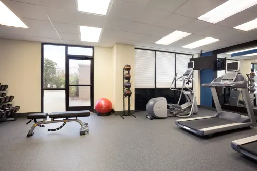 Hampton Inn Houston-Brookhollow Leisure & Recreation Photos
