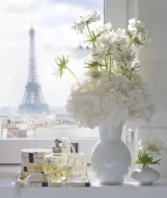 Hôtel Mandarin Oriental Paris Photos