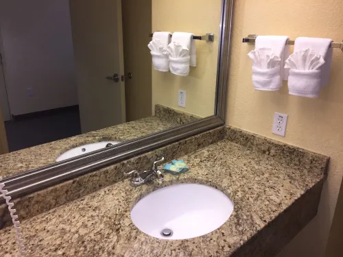 Holiday Inn Orlando International DR-Icon Photos
