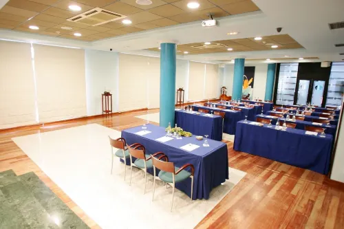 Hotel Puerto de Las Nieves Business Facilities Photos
