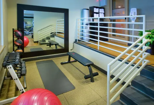 Embassy Suites by Hilton Chicago O'Hare Rosemont Leisure & Recreation Photos