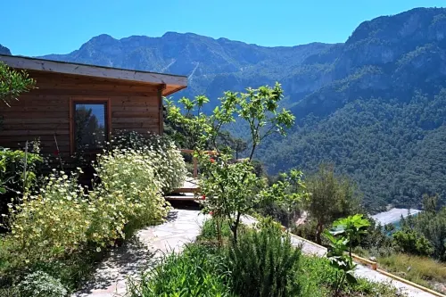Kabak Avalon Bungalows Extérieur Photos