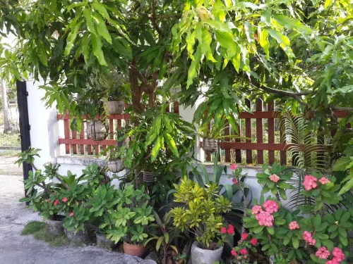 A Tee Guesthouse Exterior Photos