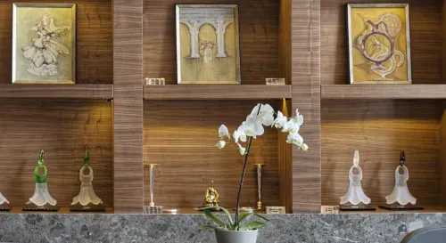 Hotel Arcadia Blue Istanbul Khu vực công cộng Photos