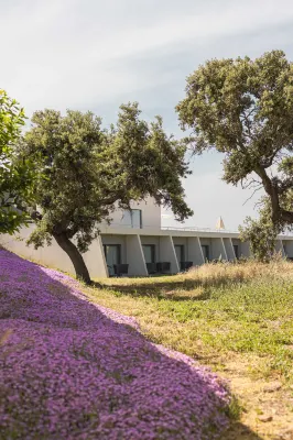 Herdade Dos Delgados Общественные зоны Photos
