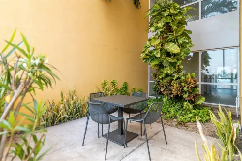 City Express by Marriott Chetumal Aree comuni Photos