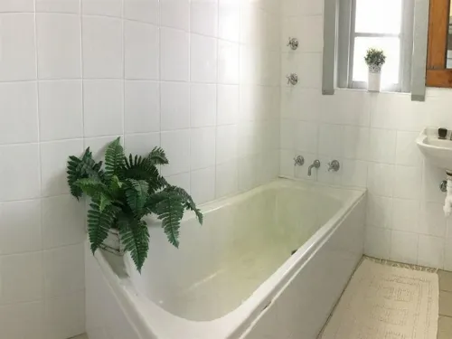 Katoomba Mountain Lodge Photos
