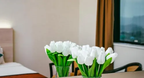 Crystal Crown Hotel JB Photos