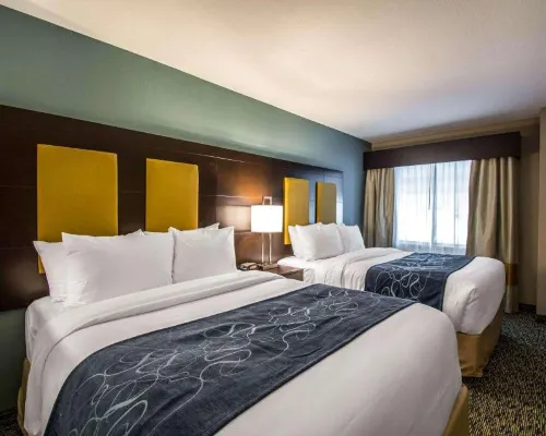Comfort Suites Fort Lauderdale Airport South & Cruise Port Chambres Photos
