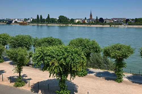 Dorint Hotel Bonn À proximité de l'hôtel Photos