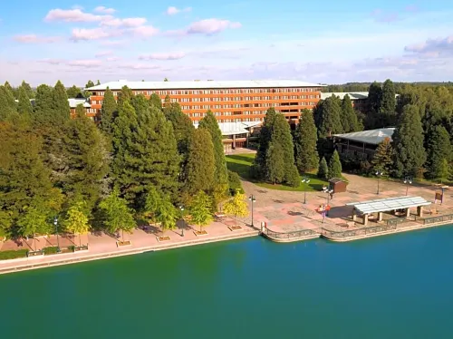 Disney Sequoia Lodge À proximité de l'hôtel Photos