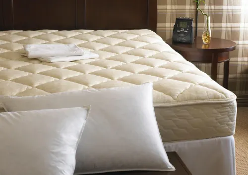 Sheraton Boston Needham Hotel Photos