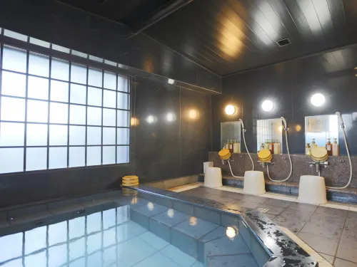Hotel Castle Inn Suzuka Benessere e tempo libero Photos
