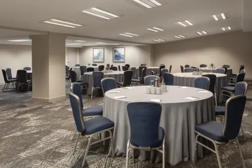 Hotel Alba Tampa, Tapestry Collection by Hilton Restauration Photos