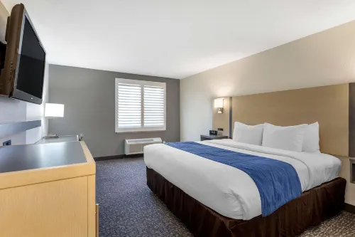 Comfort Inn San Diego Miramar Camere Photos