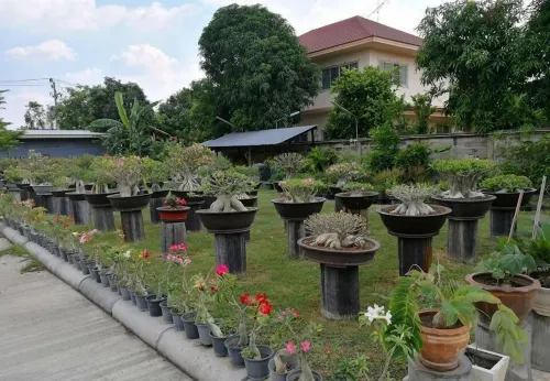 Hotel Chuan Chom The High Resort Saraburi Exterior Photos