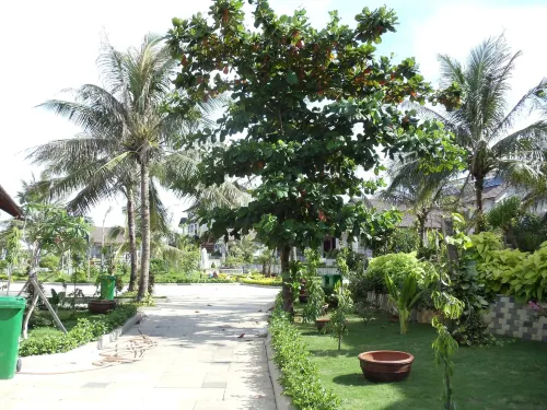 Sa Huynh Beach Resort Ngoại thất Photos