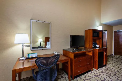 Hilton Garden Inn Valencia at Six Flags Camere Photos