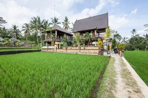 Royal JJ Ubud Resort & Spa Eksterior Photos
