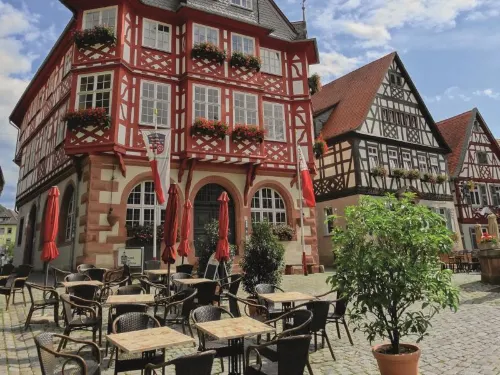 ACHAT Hotel Heppenheim Öffentliche Flächen Photos