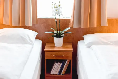 Hotel Allegro Wien Chambres Photos