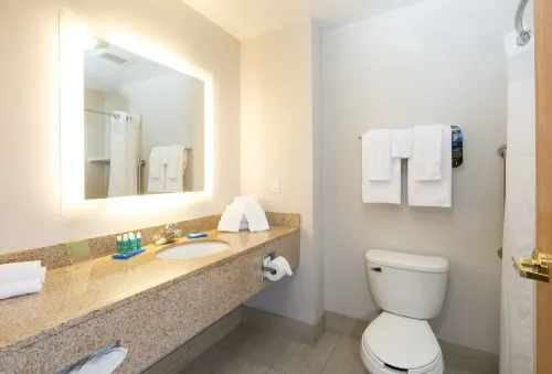Holiday Inn Express & Suites Detroit - Utica Zimmer Photos