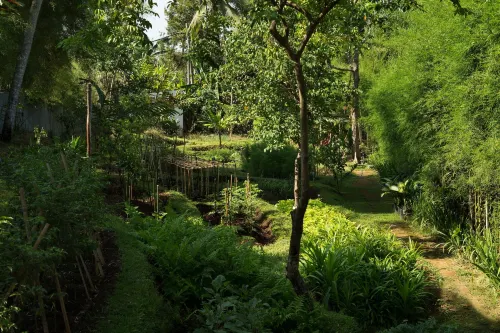 The Samaya Ubud Extérieur Photos