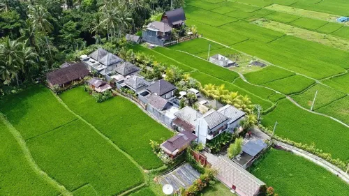 Villa JJ and Spa Ubud من الخارج Photos