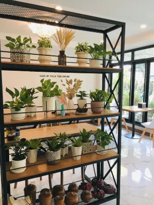 Villa Thai Orchid (Adult Only) Photos