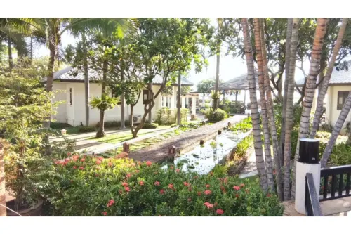 Golden Pine Beach Resort Xung quanh Photos
