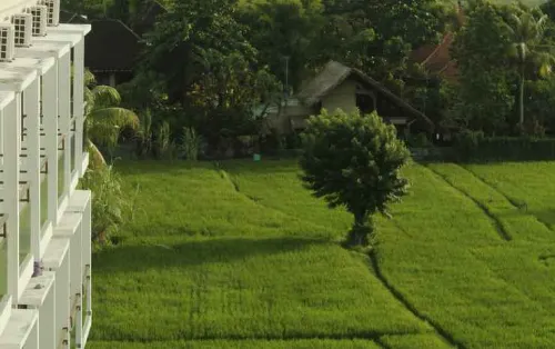 The Evitel Resort Ubud Eksterior Photos