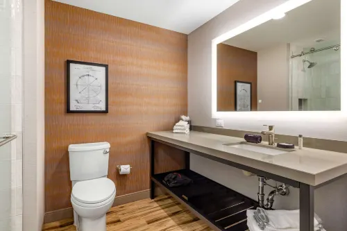 Cambria Hotel New Haven University Area Photos