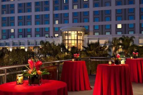 Hilton Orlando Public Areas Photos