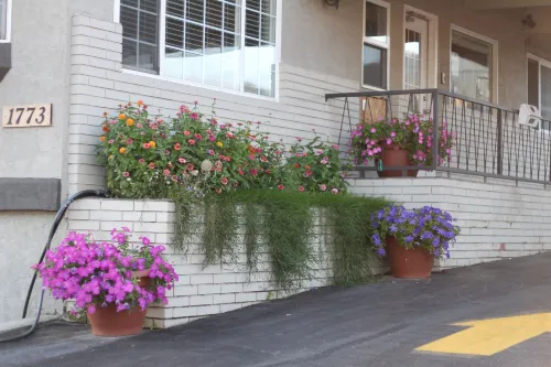 Best Budget Inn & Suites Kamloops Public Areas Photos