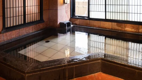 Hotel Castle Inn Suzuka Leisure & Recreation Photos