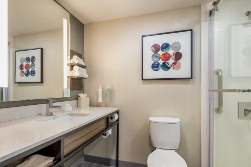 Hilton Garden Inn Chicago/Oakbrook Terrace Chambres Photos