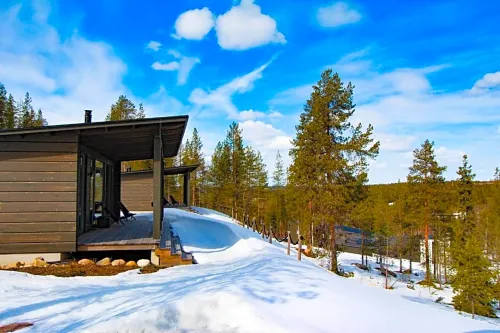 Arctic TreeHouse Hotel À ne pas manquer Photos