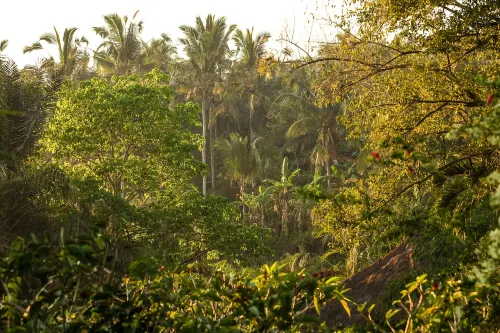 The Payogan Villa Resort and Spa Dekat Hotel Photos