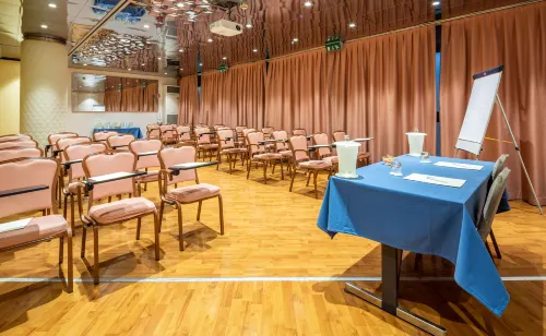 Air Hotel Milano Linate Business Photos