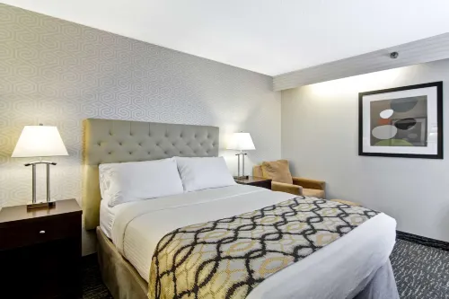 Best Western Cedar Park Inn Rooms Photos