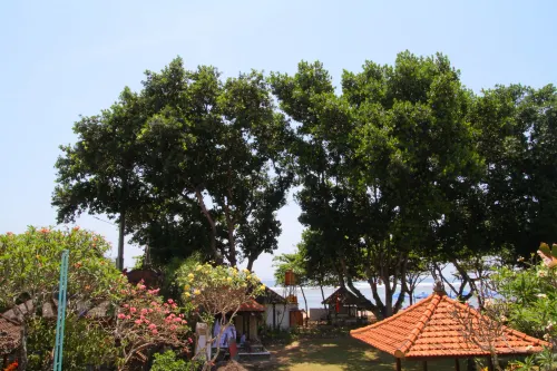 Inna Sindhu Beach Hotel & Resort Near Hotel Photos