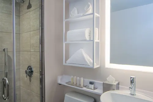Doubletree by Hilton New York Times Square West Kamar Photos