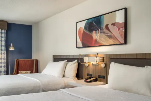 Hilton Garden Inn Chicago/Oakbrook Terrace Chambres Photos