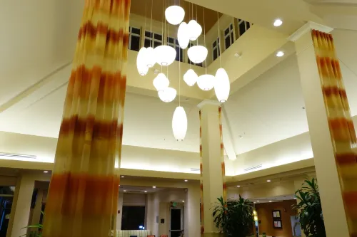Hilton Garden Inn Atlanta East/Stonecrest Public Areas Photos