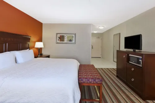 Hampton Inn Detroit/Southgate Kamar Photos