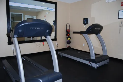 Holiday Inn Express & Suites Auburn Hills Loisirs et amusements Photos