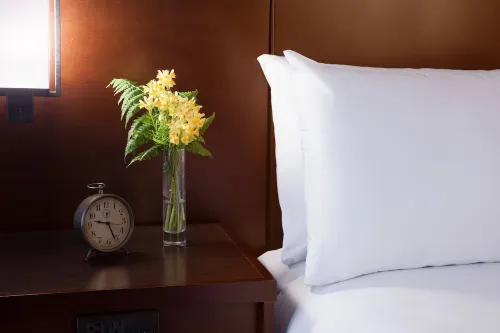 The Lakefront Anchorage Rooms Photos
