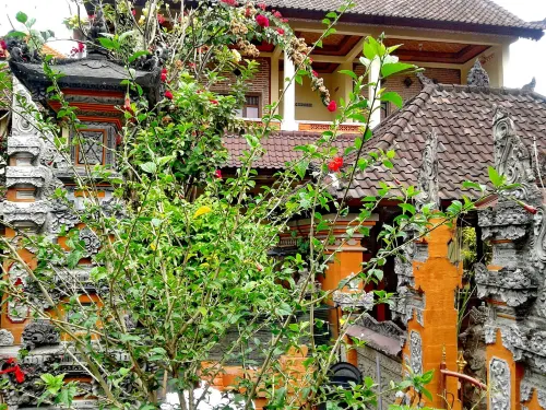 Arjuna Homestay Ubud Extérieur Photos