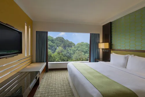 Holiday Inn Singapore Orchard City Centre Huoneet Photos