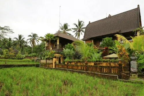 Royal JJ Ubud Resort & Spa Eksterior Photos